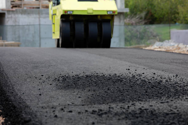 Best Driveway Paving Contractor  in Fergus Falls, MN
